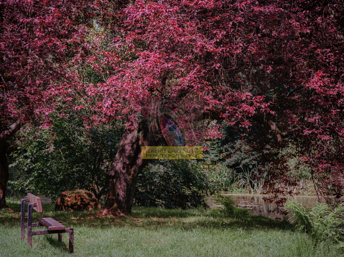 "The Pond at Inglewood House" by Jeremy Lavender Photography - $37.01 "The Pond at Inglewood House" stock image