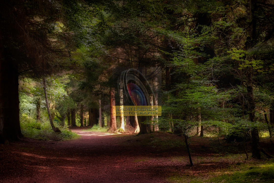 "Devilla Forest in Kincardine" by Jeremy Lavender Photography - $37.29 "Devilla Forest in Kincardine" stock image