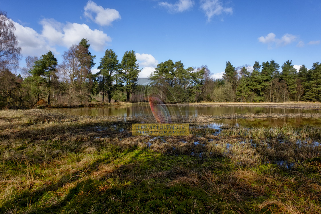 "Keir dam in Devilla forest" stock image