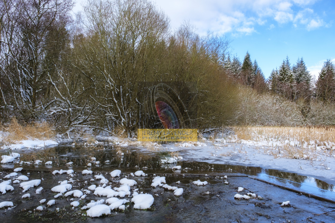 "Devilla Forest in Scotland" by Jeremy Lavender Photography - $37.01 "Devilla Forest in Scotland" stock image