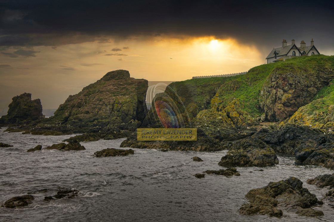 "St Abbs in Scotland" by Jeremy Lavender Photography - $37.01 "St Abbs in Scotland" stock image