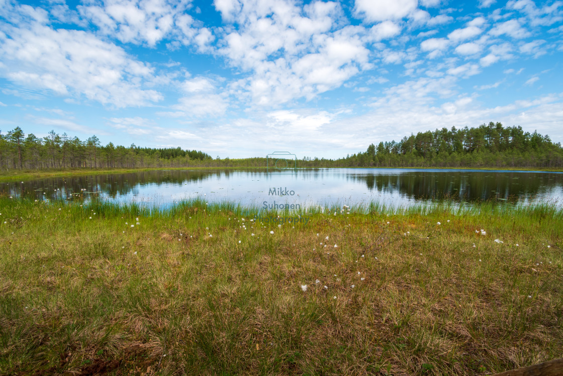 "Pond" stock image