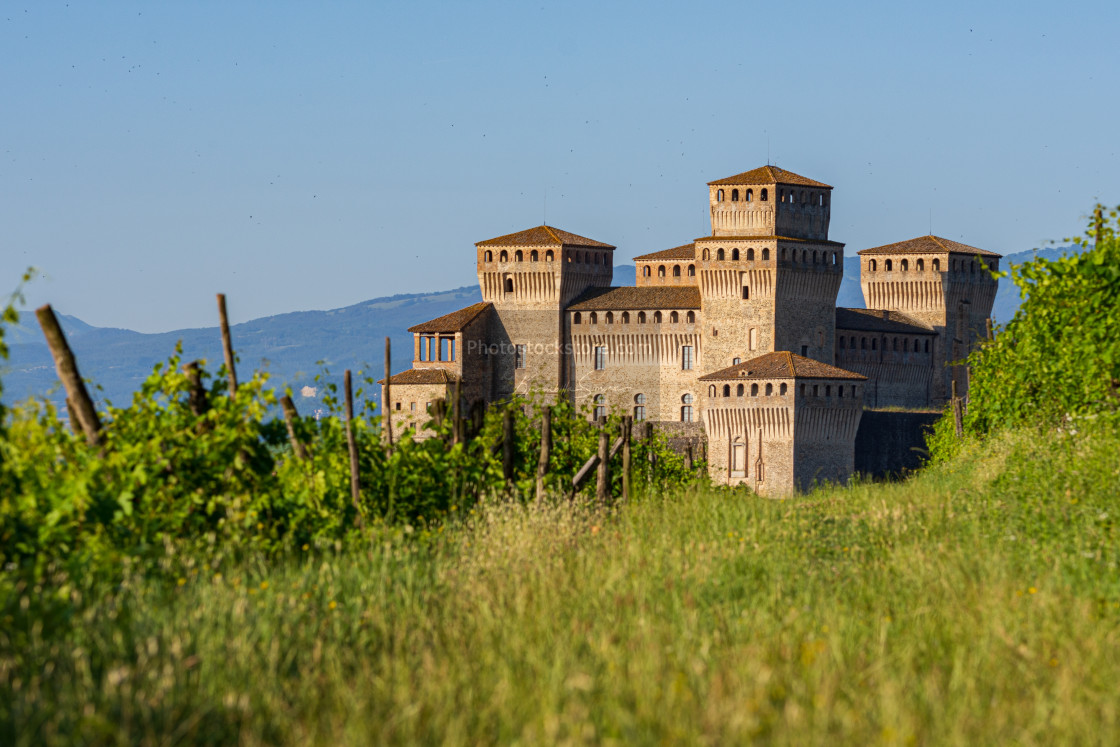"view of a castle from a vineyard on the Italian hills" by Brambilla Simone - £6.72 "view of a castle from a vineyard on the Italian hills" stock image
