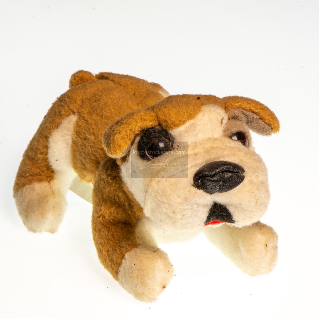 "Miniature depicting an English Bulldog" by Brambilla Simone - £6.87 "Miniature depicting an English Bulldog" stock image