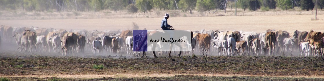 "Cowboy" stock image