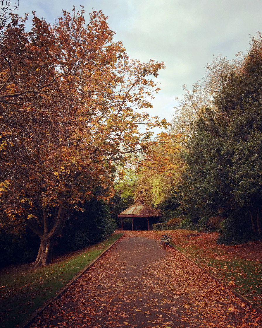 "A Beautiful Autumn Day" stock image