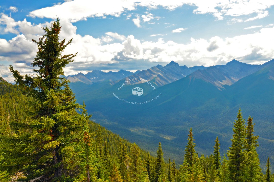 "View from Sulphur Mountain, Banff Gondola" stock image