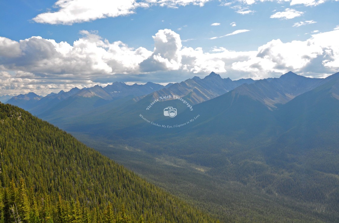 "View from Sulphur Mountain, Banff Gondola" stock image