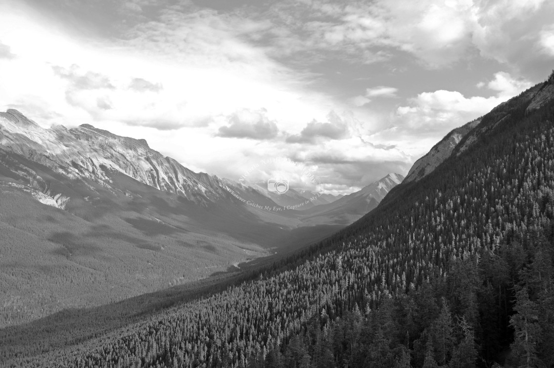 "View from Banff Gondola, Alberta" stock image