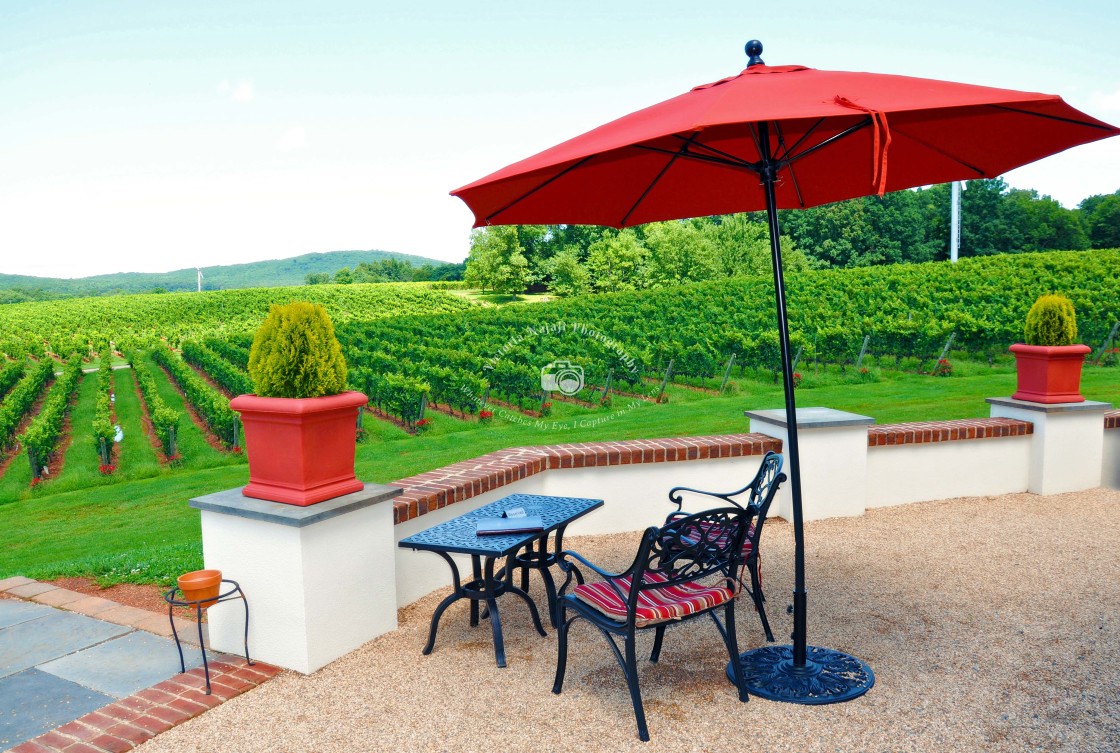 "Barboursville Vineyards, Virginia" stock image