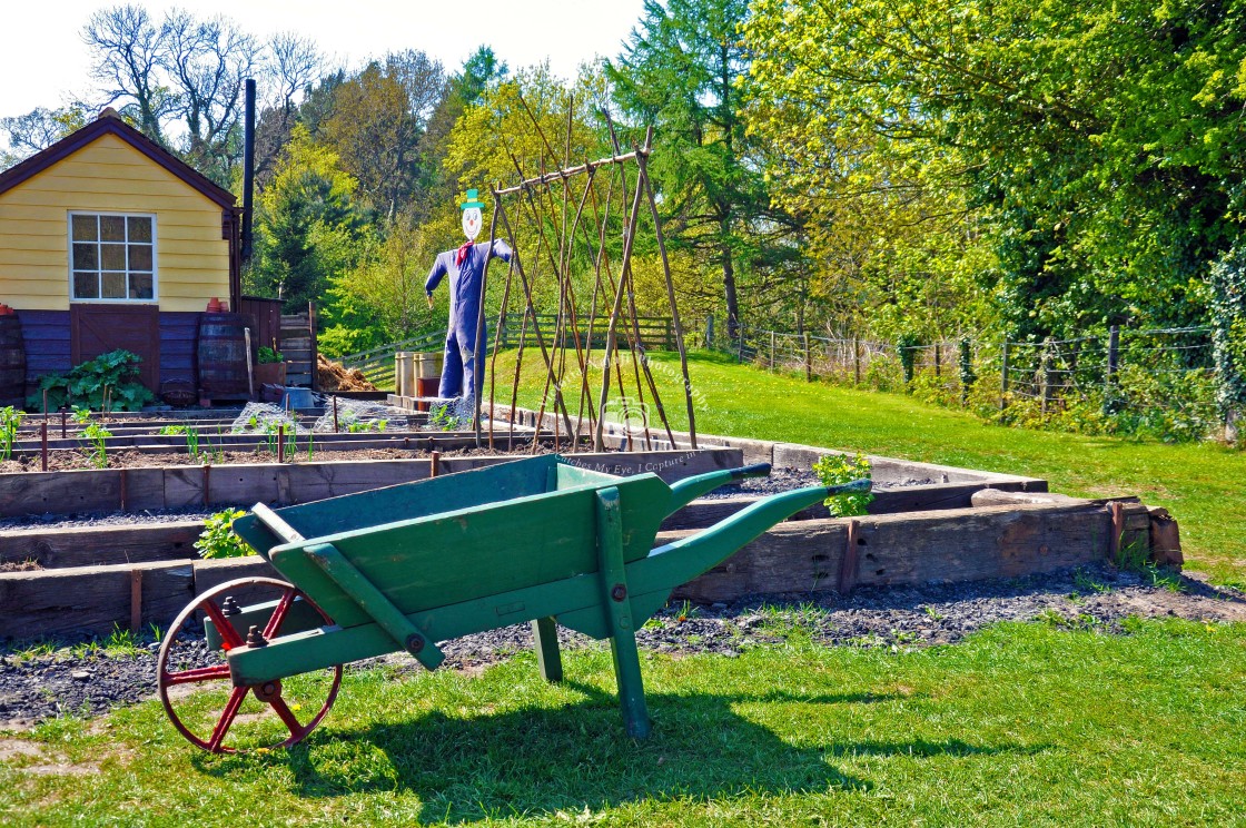 "Rowley Station Allotment" stock image