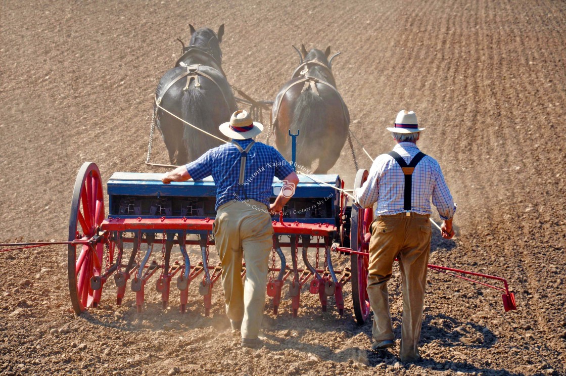 "Ploughing the Fields" stock image