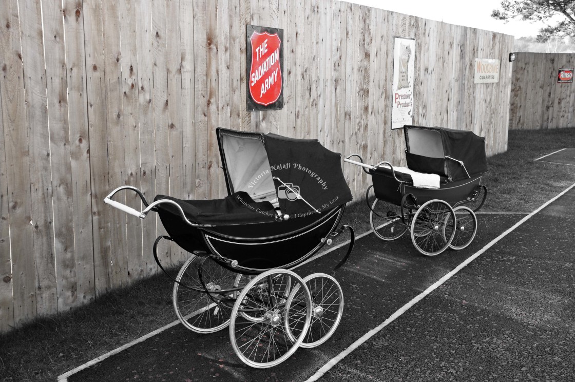 "1950s Prams" stock image