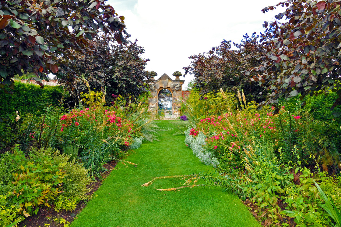 "The Rose Garden" stock image