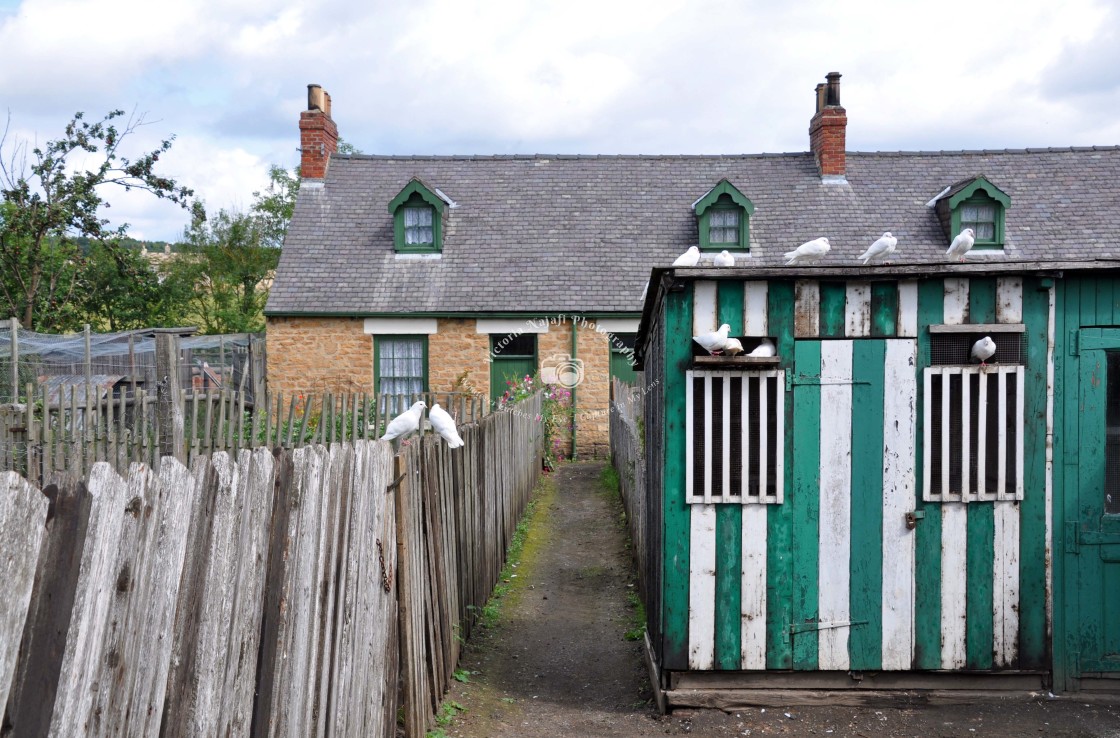 "Pigeon Loft" stock image