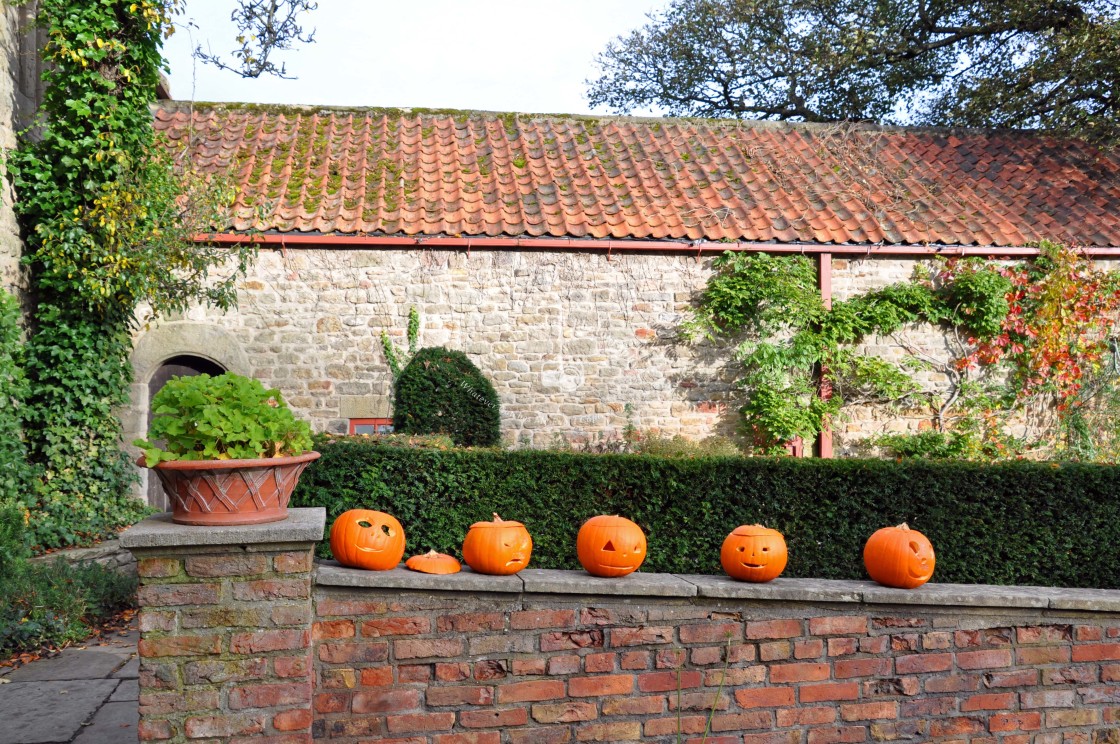 "Pockerley Manor Pumpkins" stock image