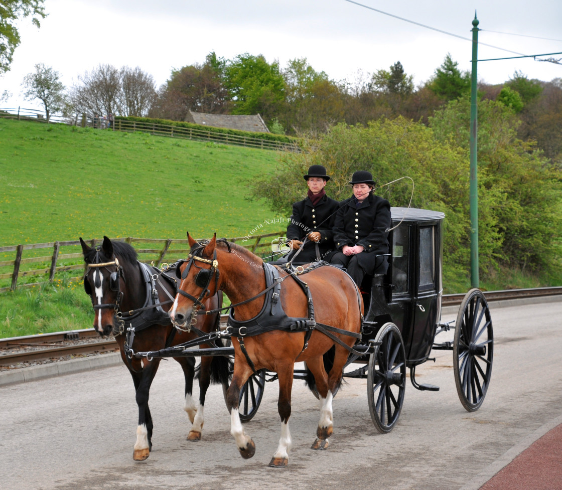 "Horse & Carriage" stock image