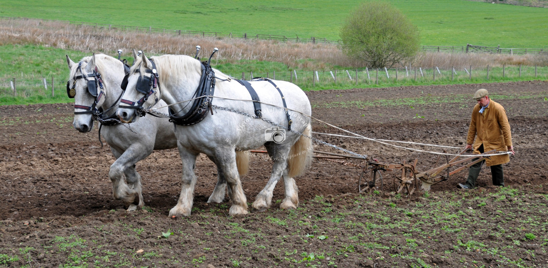 "Ploughing the Field" stock image