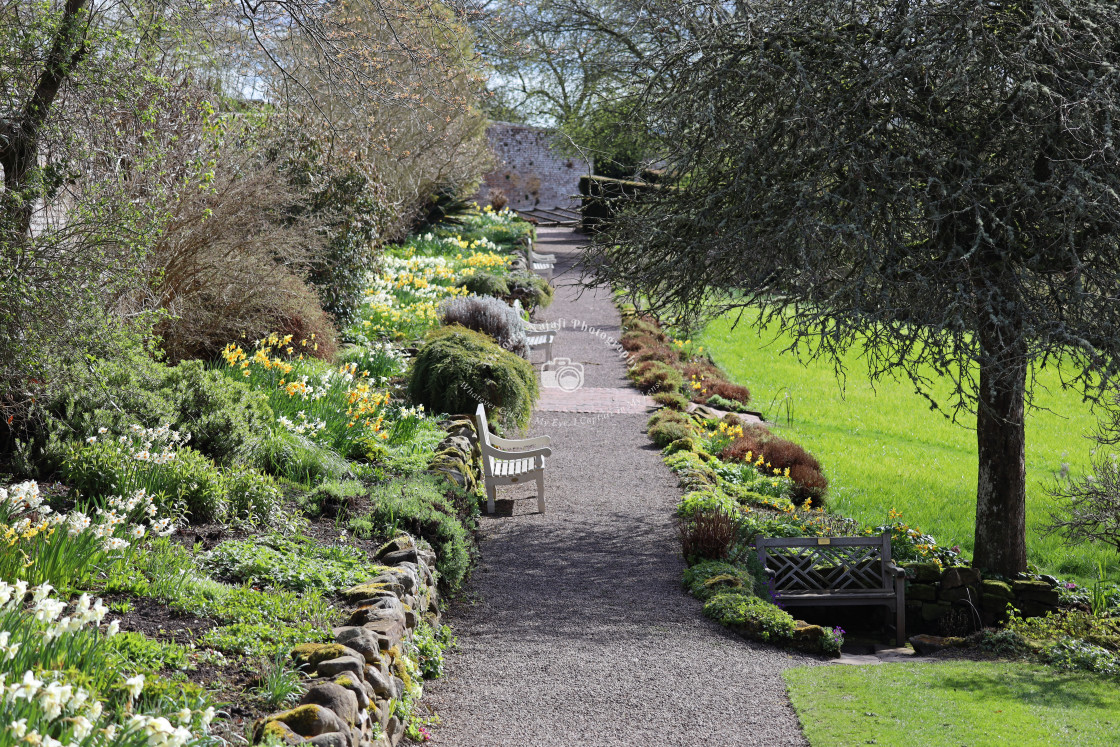 "Wallington Walled Garden" stock image