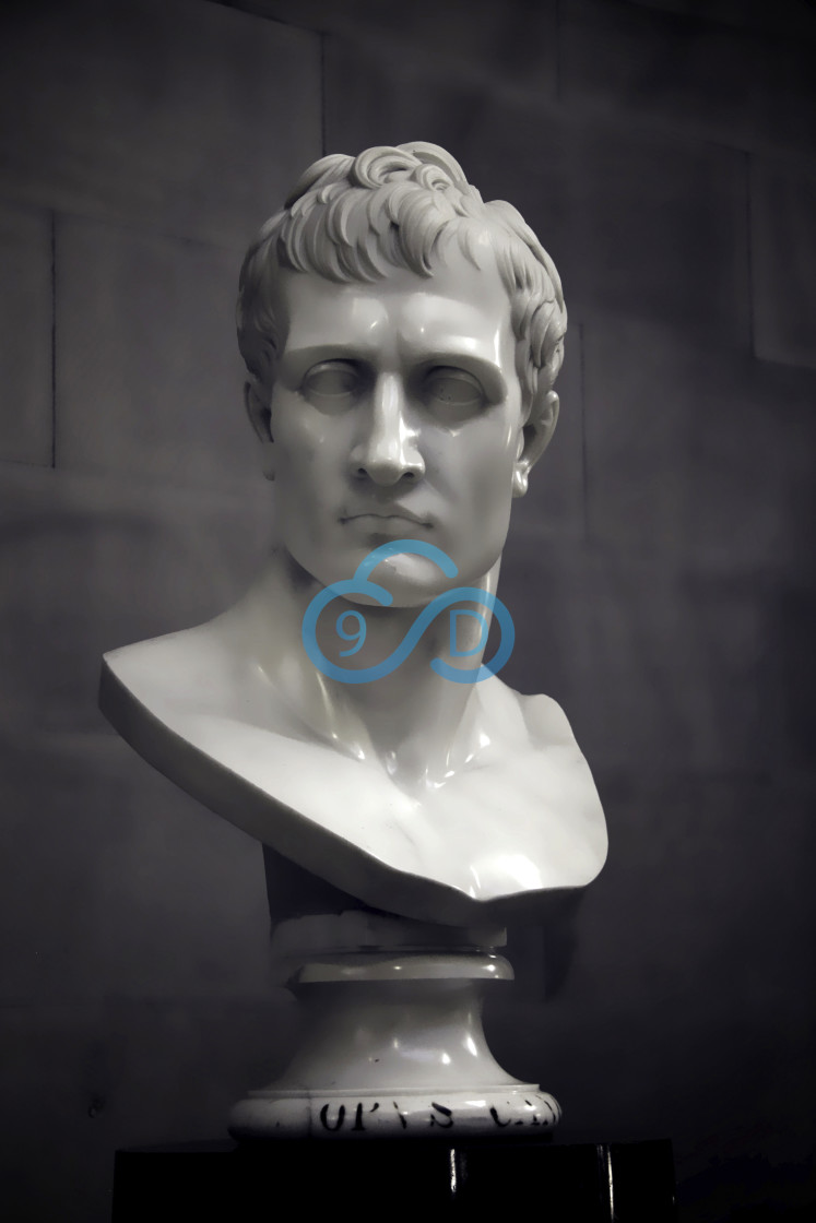 "Colossal head of Napoleon Bonaparte" stock image