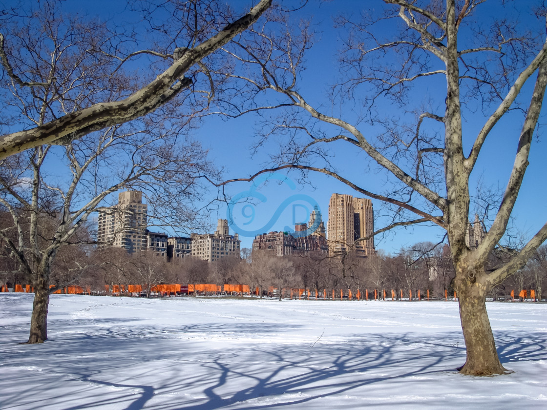 "Central Park, New York" stock image