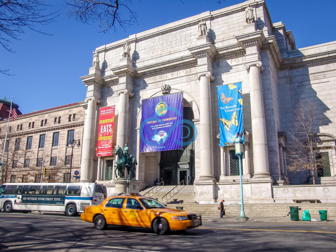 "The American Museum of Natural History" stock image