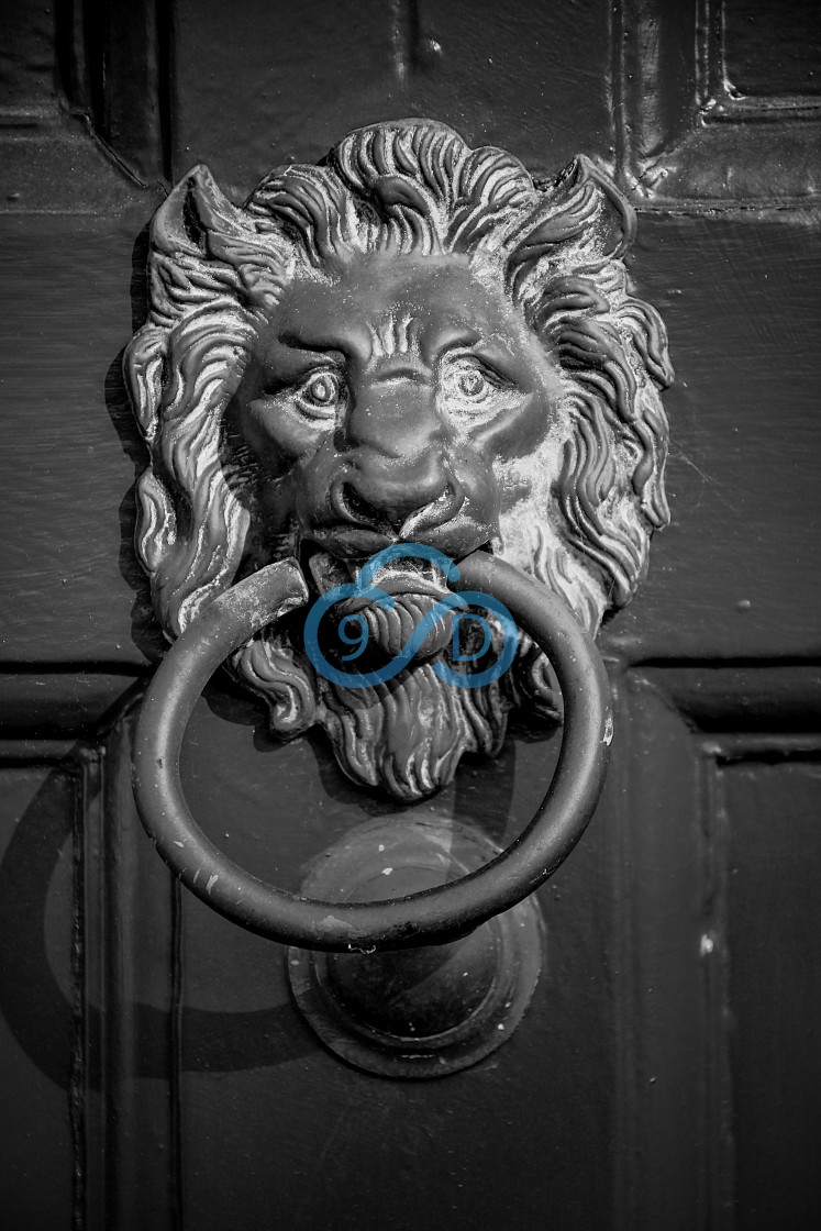 "Lions Head Door Knocker" stock image