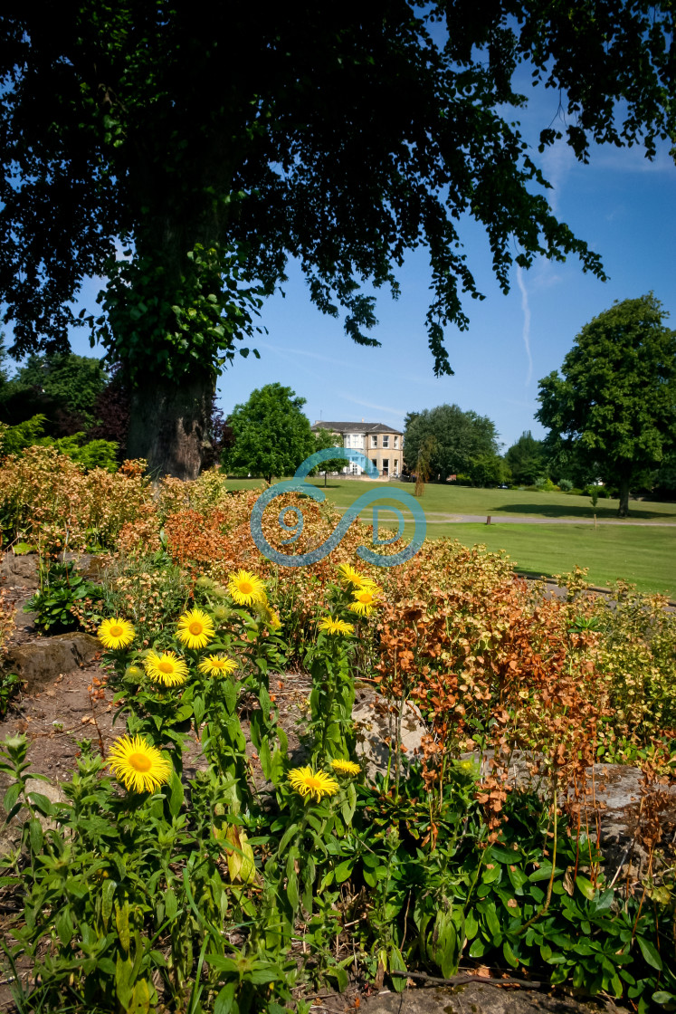 "Carr Bank Park, Mansfield" stock image