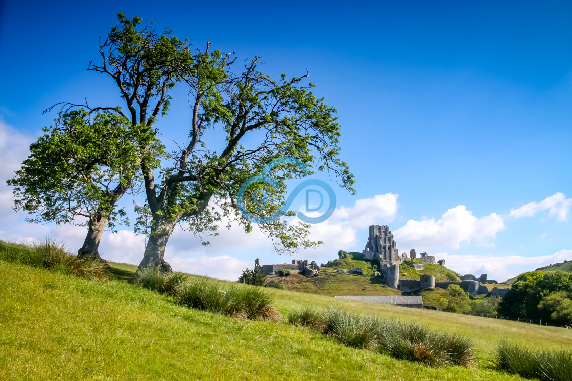 "Corfe Castle, Dorset" stock image