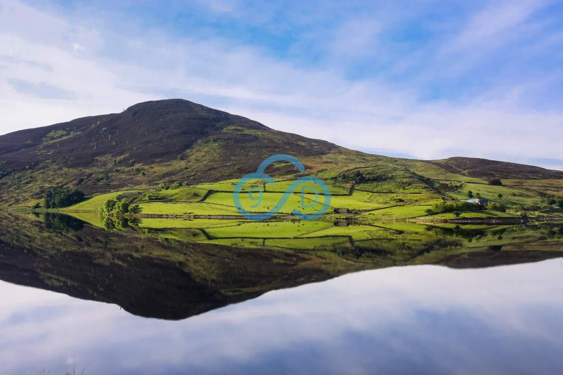 "Llyn Celyn Reservoir" stock image