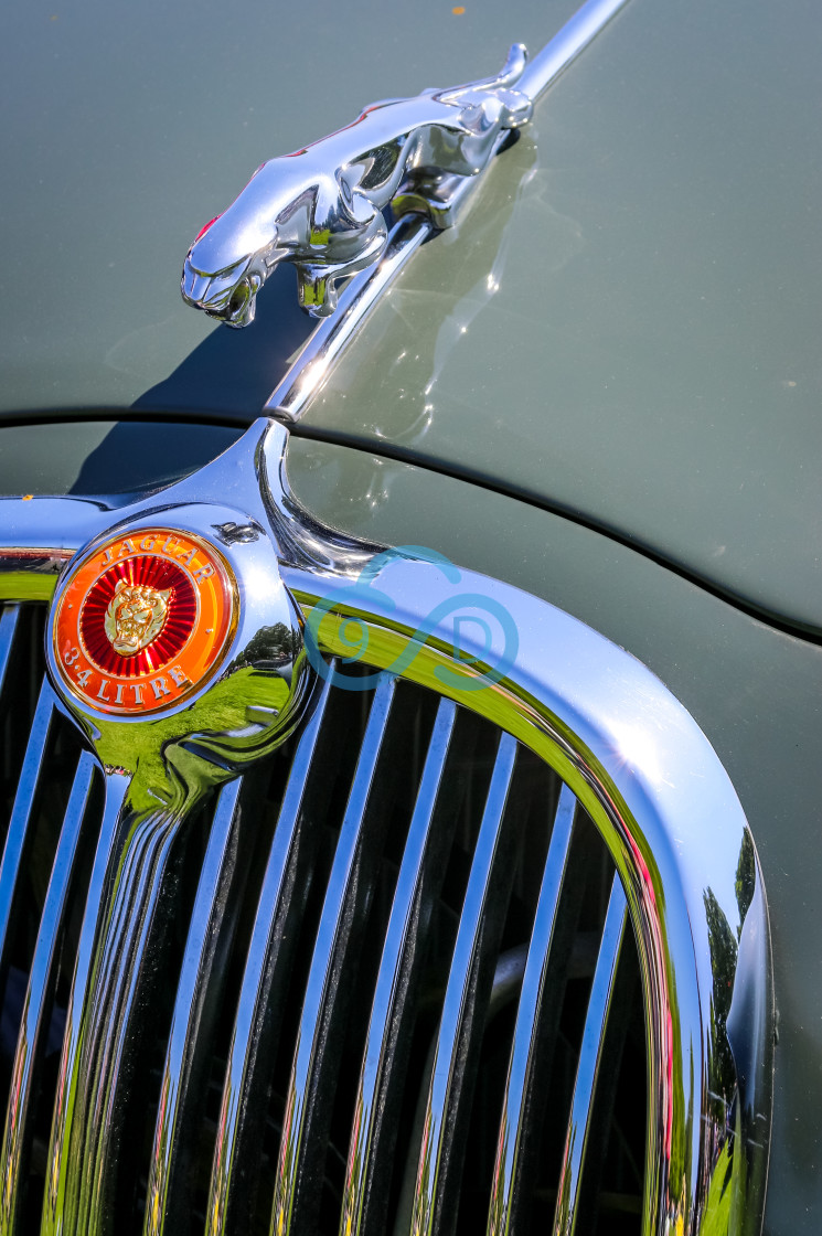 "Jaguar Bonnet Mascot" stock image