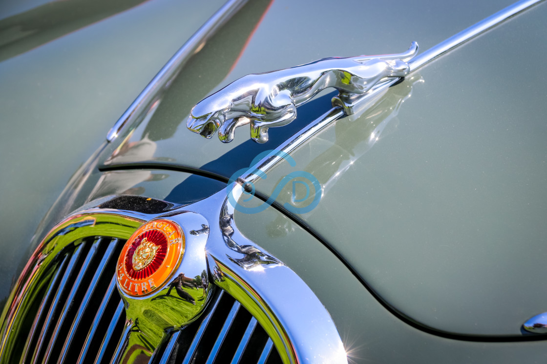 "Jaguar Bonnet Mascot" stock image