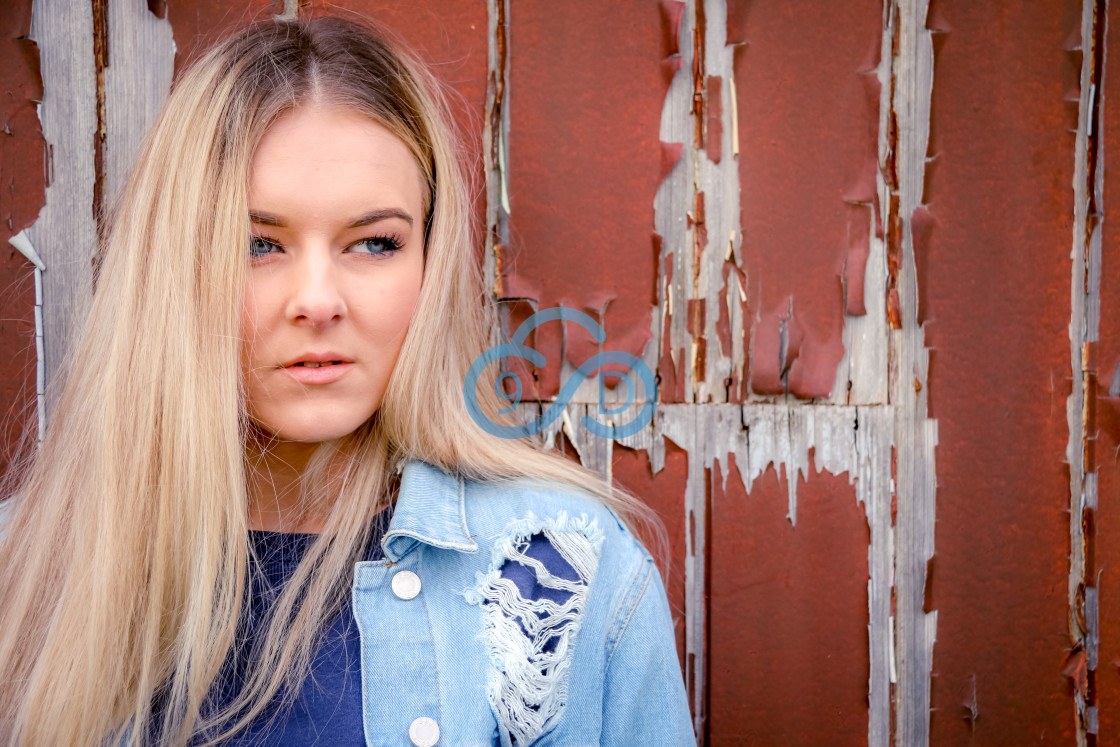 "Denim Blonde" stock image