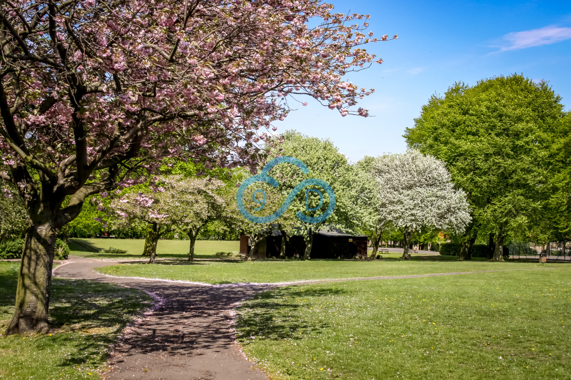 "Yeoman Hill Park, Mansfield Woodhouse" by Julian Wright - £5.00 "Yeoman Hill Park, Mansfield Woodhouse" stock image