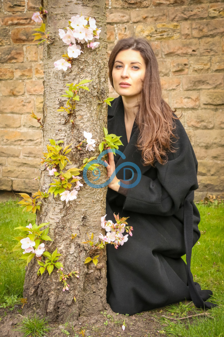 "European Female" stock image