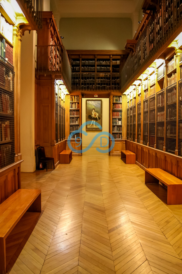 "The Library at the Palais Garnier" stock image