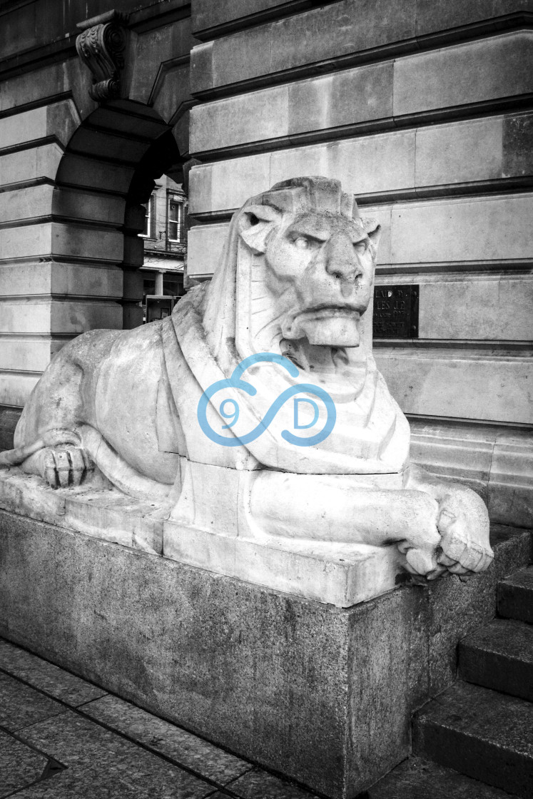 "Leo - Lion Statue, Nottingham" stock image