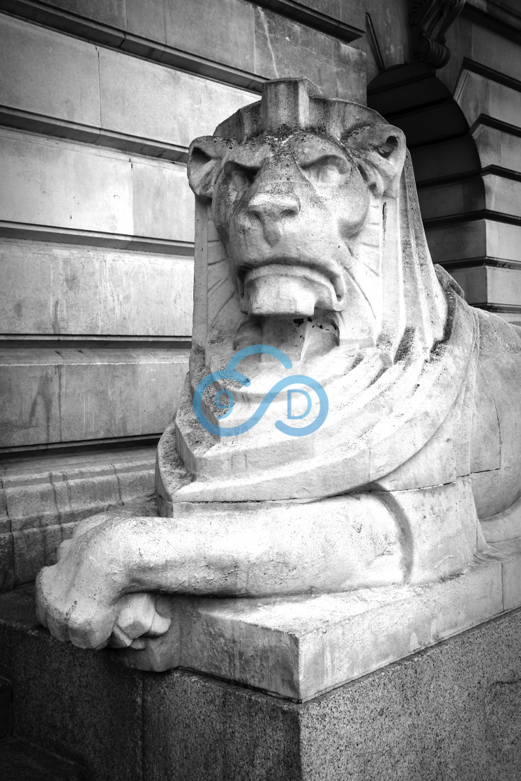 "Oscar - Lion Statue, Nottingham" stock image