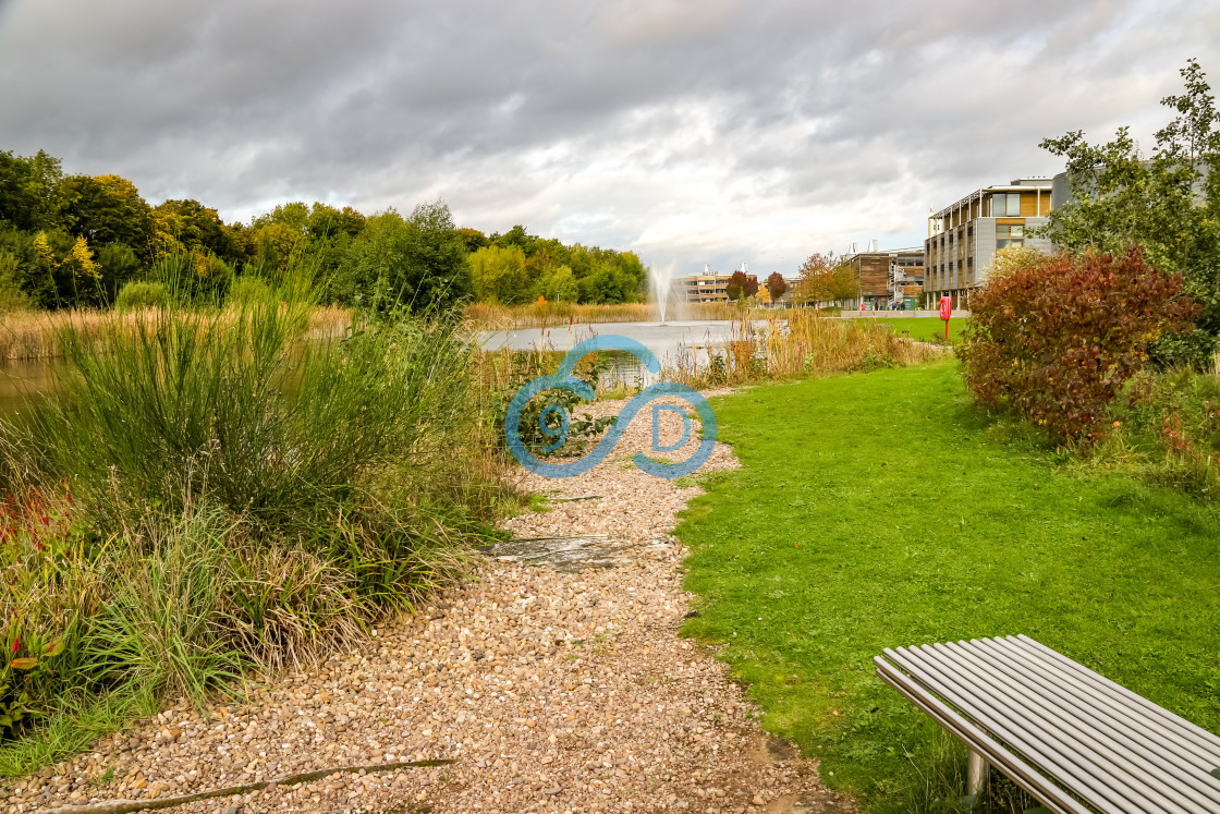 "Gardens at De Vere Jubilee Conference Centre, Nottingham" stock image