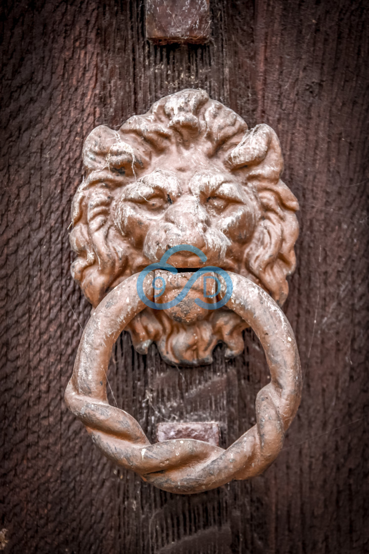 "Lions Head Door Knocker" stock image