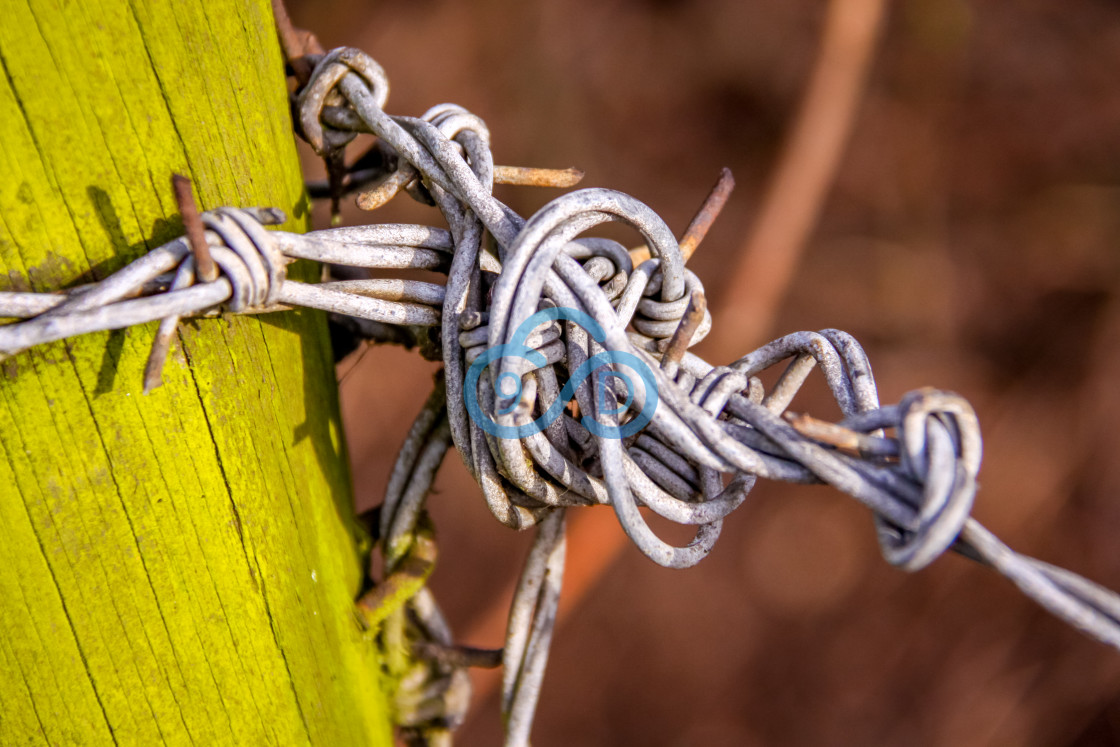 "Barbed Wire" stock image