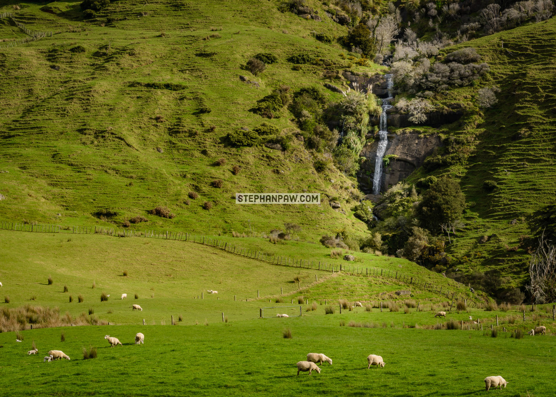 "My own private waterfall // Matakana, New Zealand" stock image