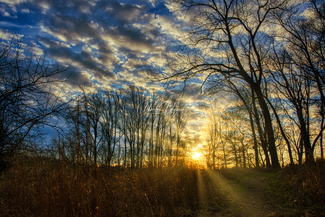 "Andorra Meadow Wissahickon Sunset" stock image