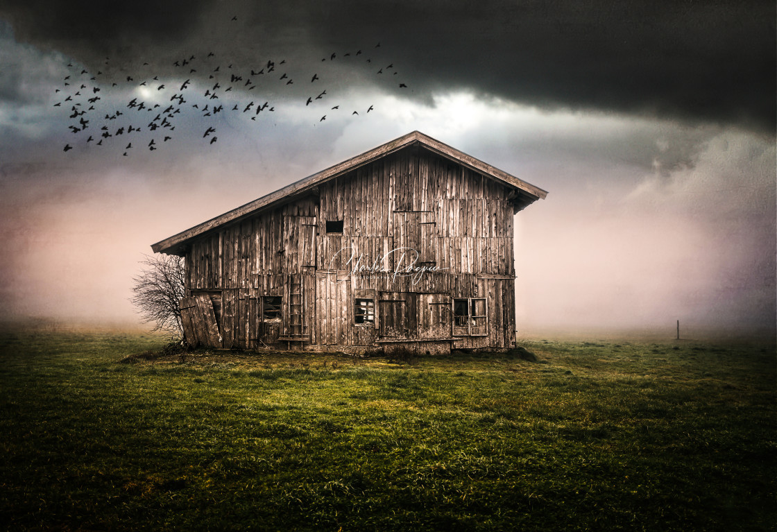 "Rural Farm Barn Is Abandoned But Not Lost" stock image