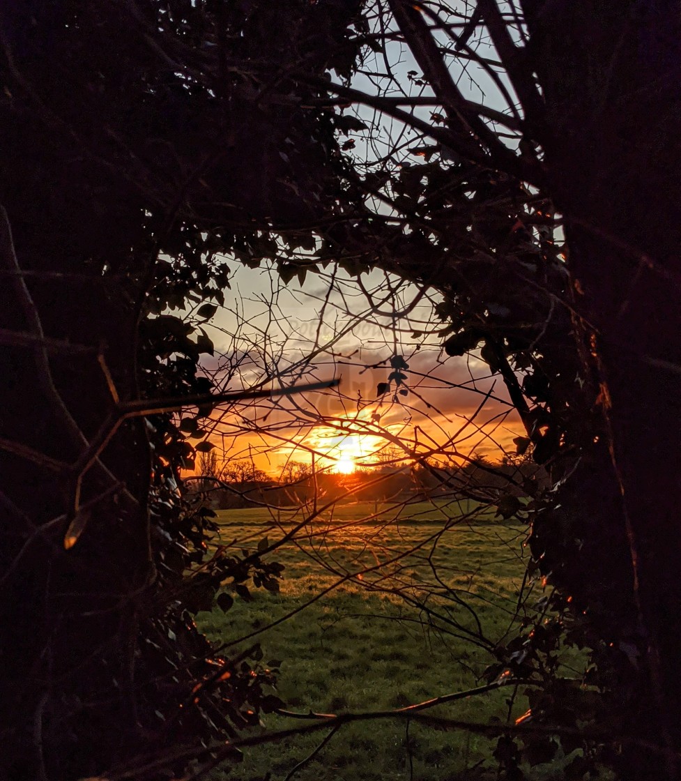 "Sunrise through the trees in south oxfordshire" stock image