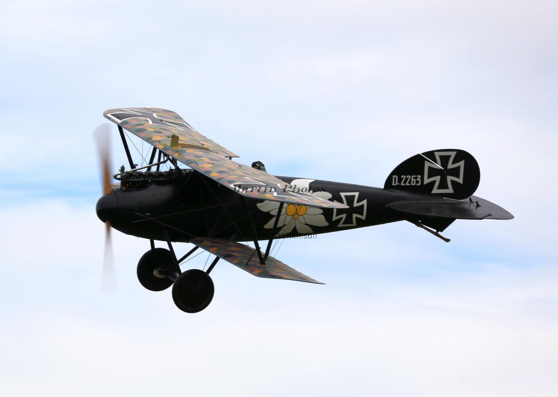 "Albatros DVa D2263/17" stock image