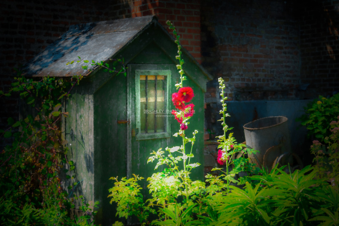 "Green Shed" by Brashley Photography - $18.03 "Green Shed" stock image