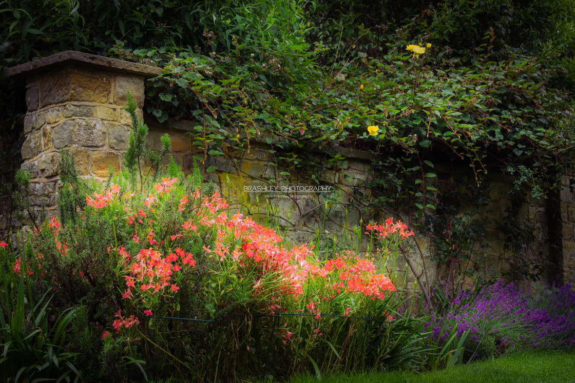 "Walled Garden of Chartwell" stock image