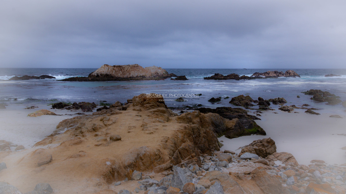 "Pacific Coastline" stock image