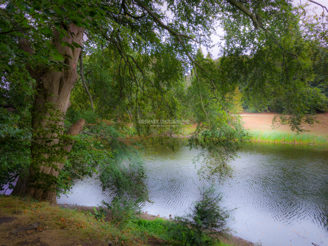 "Nostell Lake" stock image